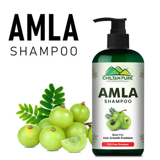 Amla Shampoo آملہ Keep Your Hair Follicles & Scalp Healthy & Nourishment - No. 1️⃣ Choice 👌