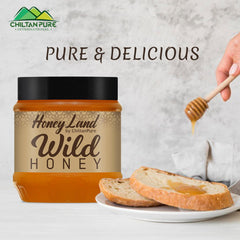 Wild Mountainous Honey - Pure & Delicious (جنگلی شہد) - ChiltanPure