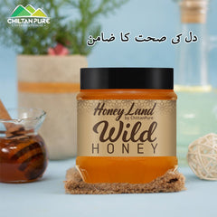 Wild Mountainous Honey - Pure & Delicious (جنگلی شہد) - ChiltanPure