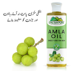 Amla Oil – Lessen Hair Loss, Boosts Hair Growth, Treats Dry Scalp & Prevents Premature Hair Greying