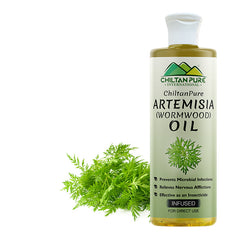 Artemisia Infused oil – Wormwood Infused oil – Promotes Digestion, Relieves Nervous Afflicti