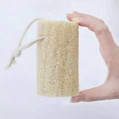 Body Sponge / Loofah