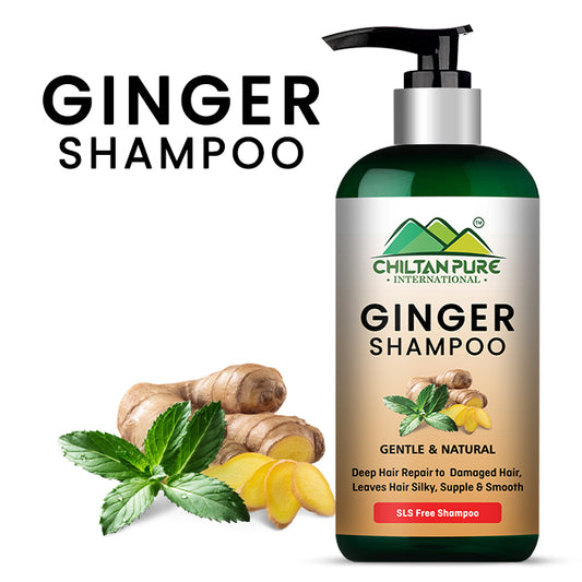 Ginger Shampoo – Reduce Hair Loss, Detoxifies Hair Strands, Prevents Scalp Itchiness & Restores Hair Manageability 250ml