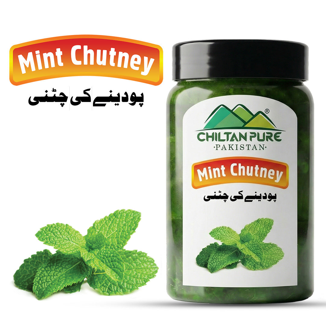 Mint Chutney - Freshness in Every Spoonful