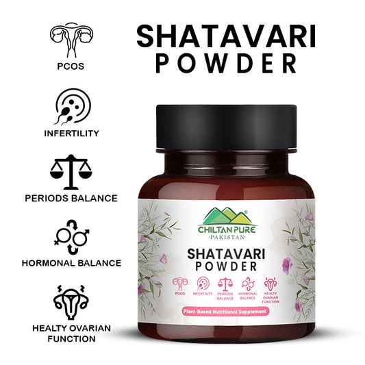 Shatavari Powder 130gm