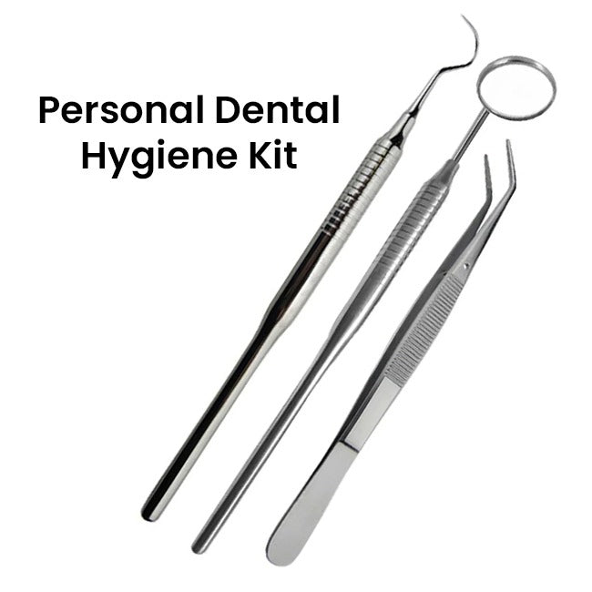 personal Dental Hygiene kit