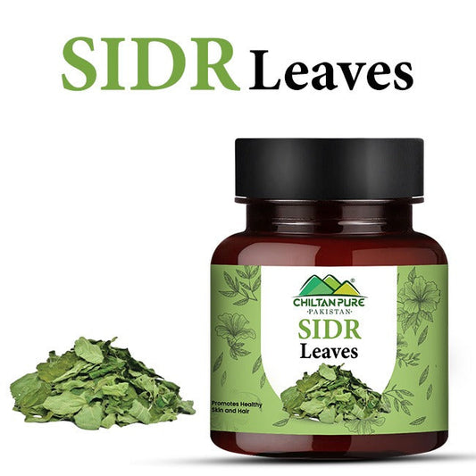 Sidr Leaves / سدر لیوز  / Gross Weight 110gm