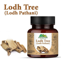 Lodh Tree / لودھ پٹھانی / Lodh Pathani