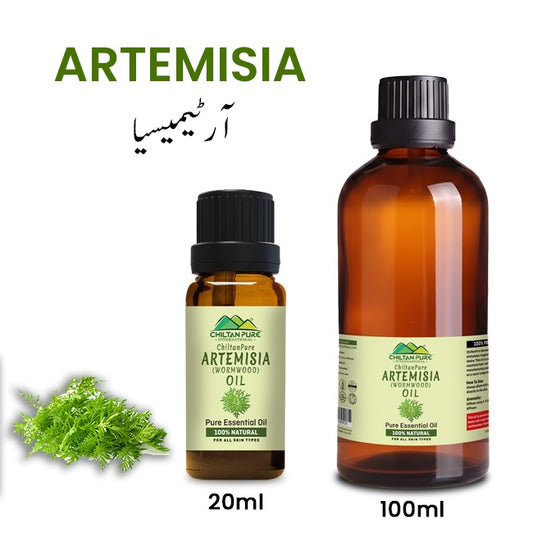 Artemisia Essential oil – Wormwood Essential Oil – Acts as an Emmenagogue, Relieves Nervous Afflictions & Prevents Microbial Infections 20ml