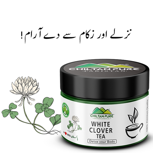 White Clover Tea - Heal Wounds, Cure Minor Eyes Infection, Treat Fever, Aches &amp; Dizziness