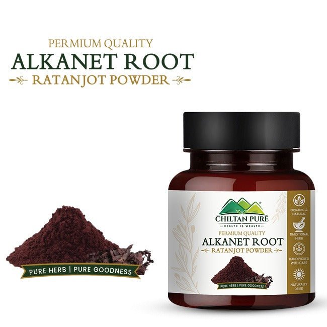 Alkanet Root / Ratan Jot Powder - ChiltanPure