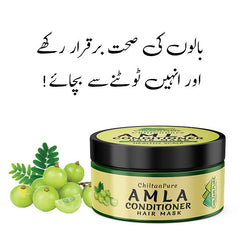 Amla Hair Conditioning Mask - Keep Hair Follicles &amp; Scalp healthy[آملہ] - ChiltanPure