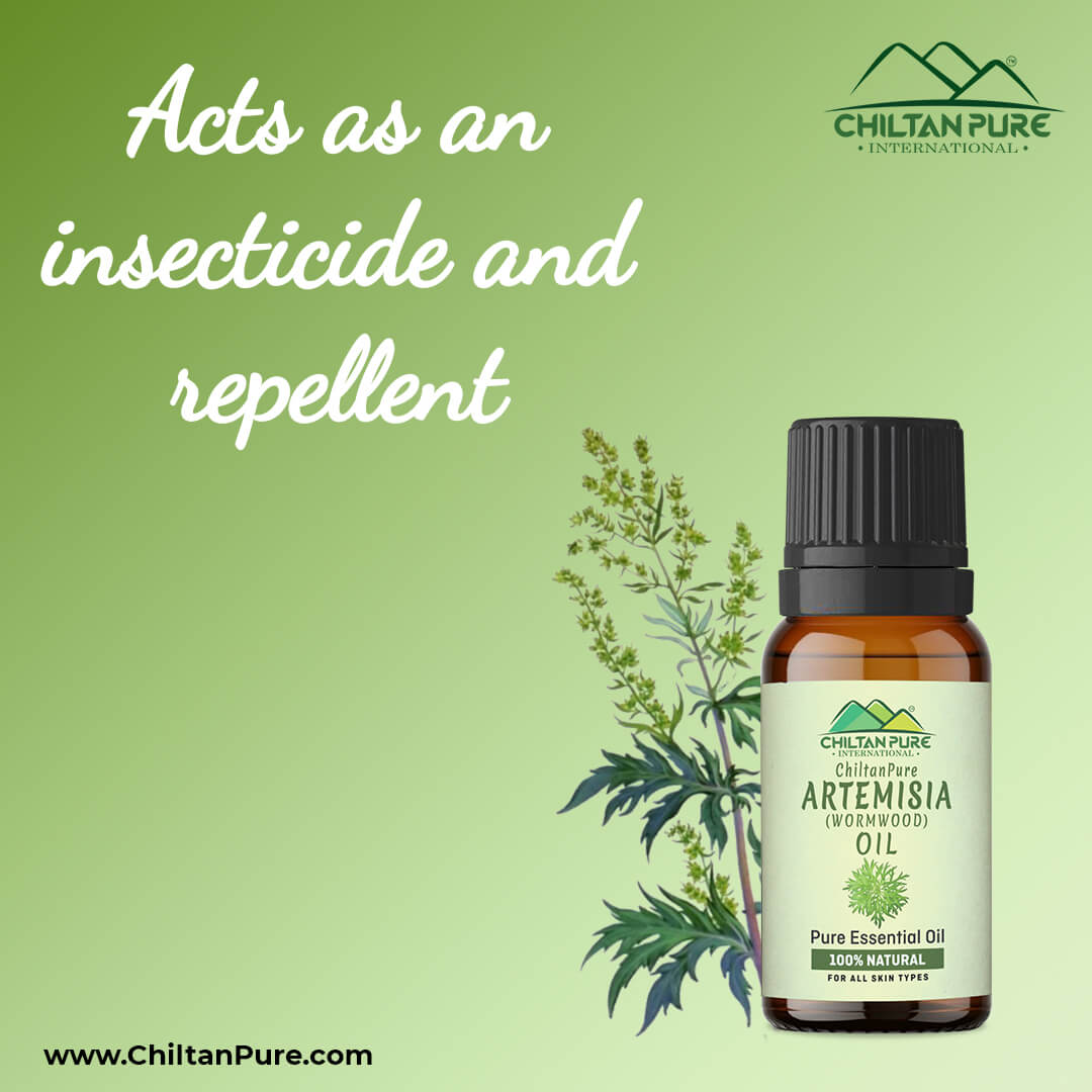 Artemisia Essential oil – Wormwood Essential Oil – Acts as an Emmenagogue, Relieves Nervous Afflictions & Prevents Microbial Infections 20ml - ChiltanPure