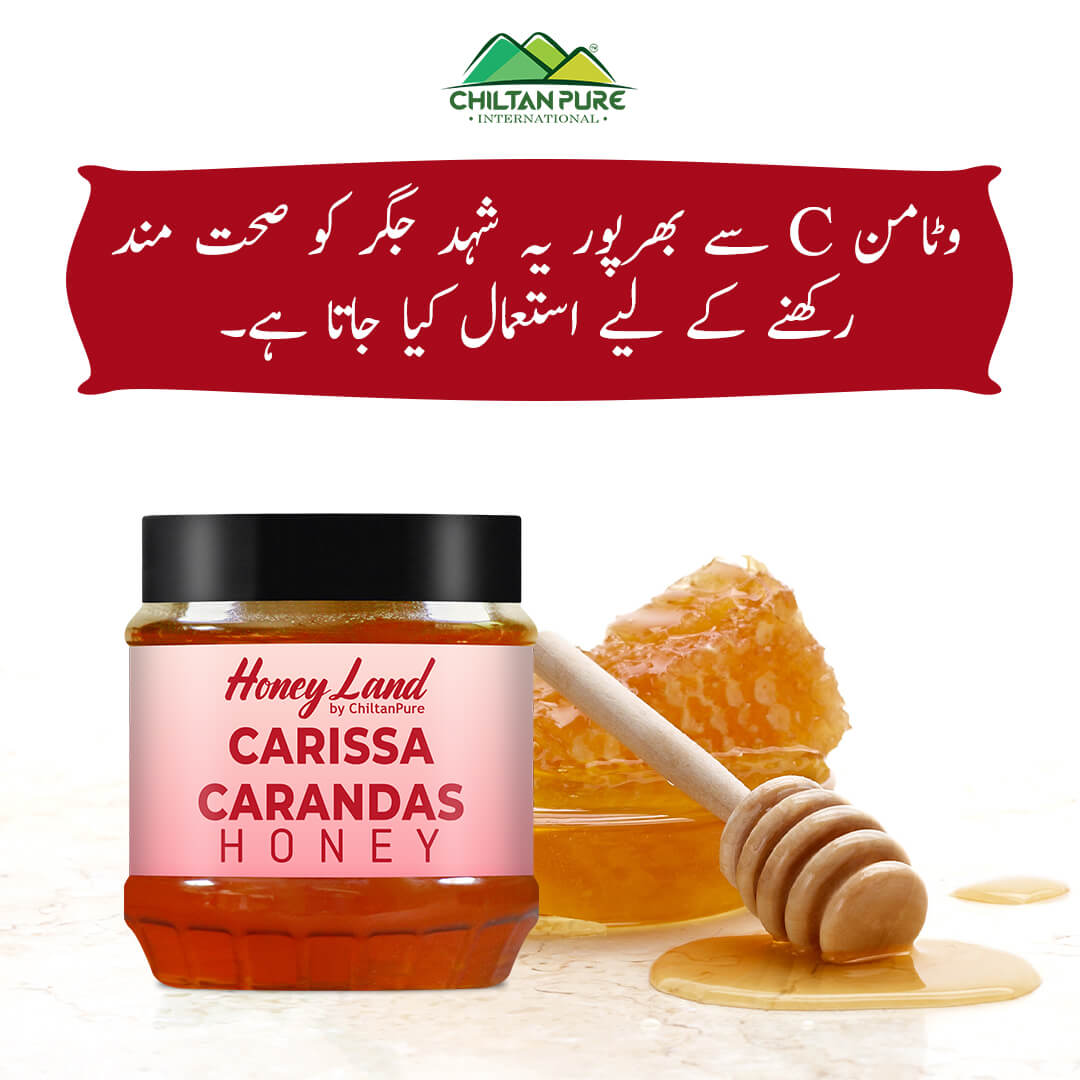 Carissa Carandas Honey – Stress less & choose the best, improves digestion, reduces fever, strengthens cardiac muscles – Health package 100% organic 450g - ChiltanPure