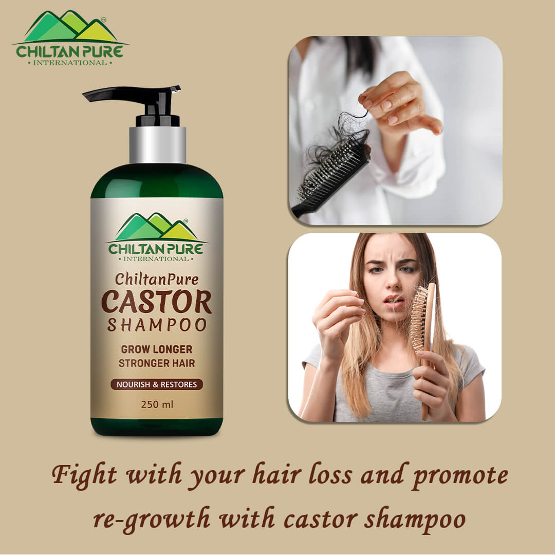 Castor Shampoo – Helps Moisturize & Regrow Strong Healthy Hair [ارنڈی] 250ml - ChiltanPure