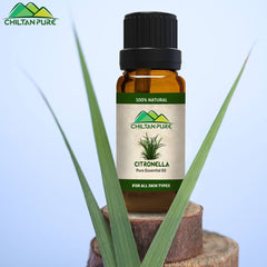 Citronella Essential Oil – Reduce Hair & Skin Dryness [ترنجیل] 20ml - ChiltanPure