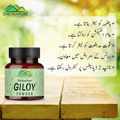 Giloy Powder – Improves Digestive Health, Strengthen Immune System, Good for Vision & Helps in the Management of Type II Diabetes 90gm - ChiltanPure