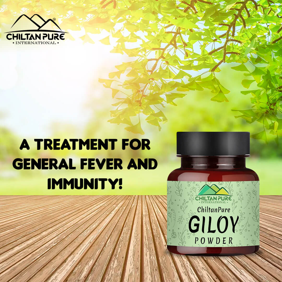 Giloy Powder – Improves Digestive Health, Strengthen Immune System, Good for Vision & Helps in the Management of Type II Diabetes 90gm - ChiltanPure