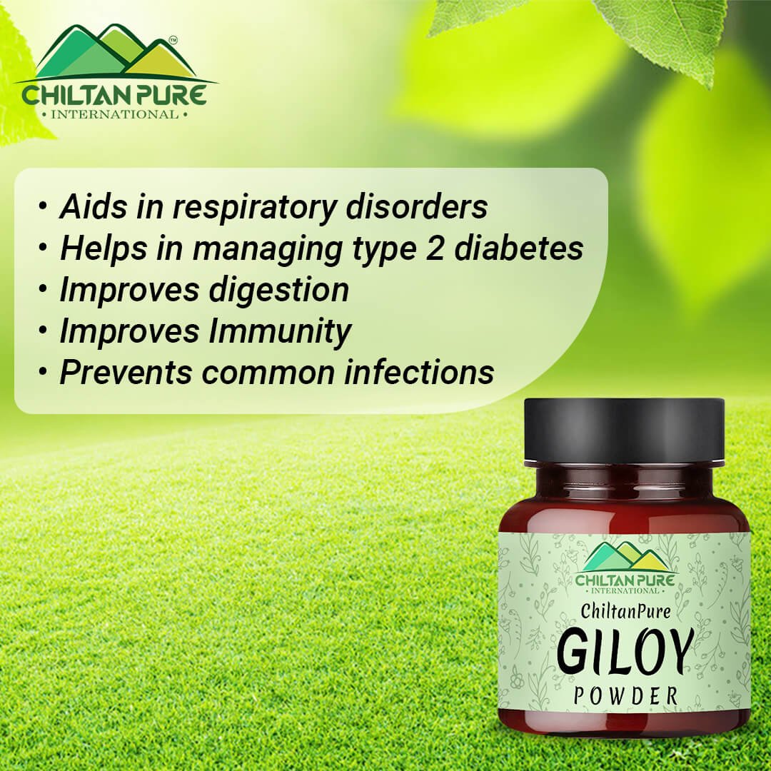 Giloy Powder – Improves Digestive Health, Strengthen Immune System, Good for Vision & Helps in the Management of Type II Diabetes 90gm - ChiltanPure