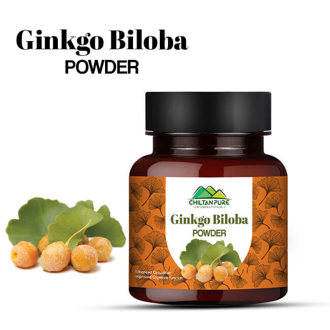 Ginkgo biloba / maidenhair powder 100% pure organic - ChiltanPure