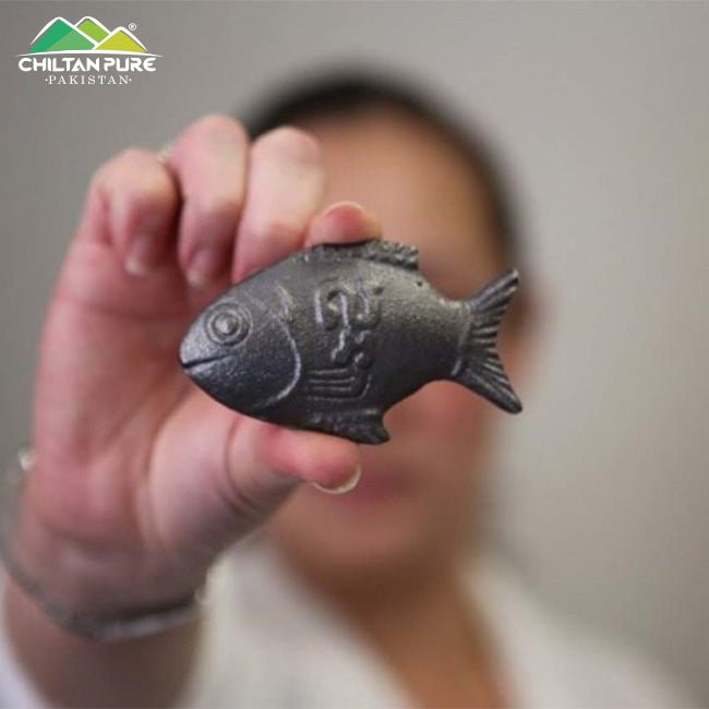 Iron Fish / Lucky Iron Fish / Good For Iron Deficiency For Anemia - ChiltanPure