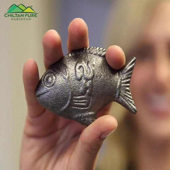 Iron Fish / Lucky Iron Fish / Good For Iron Deficiency For Anemia - ChiltanPure