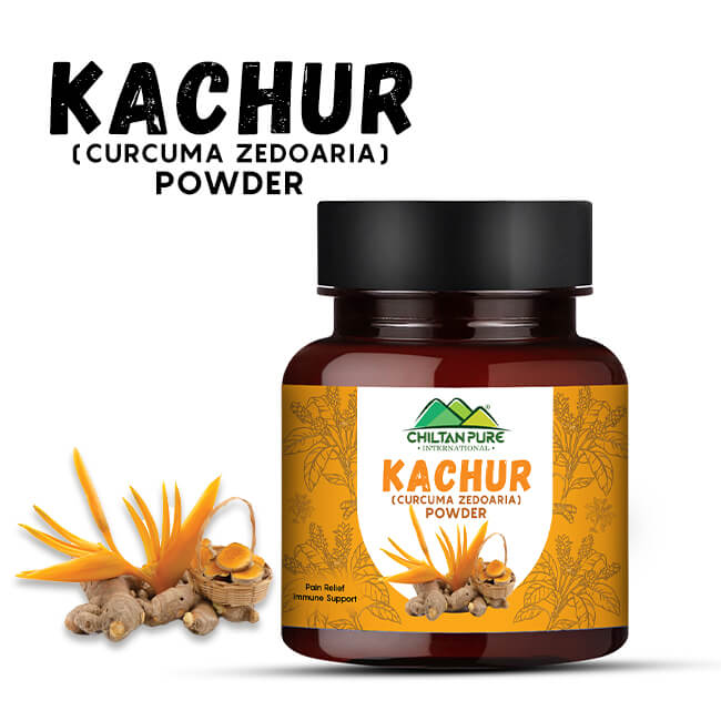 Kachur / Curcuma zedoaria powder 100% pure organic - ChiltanPure