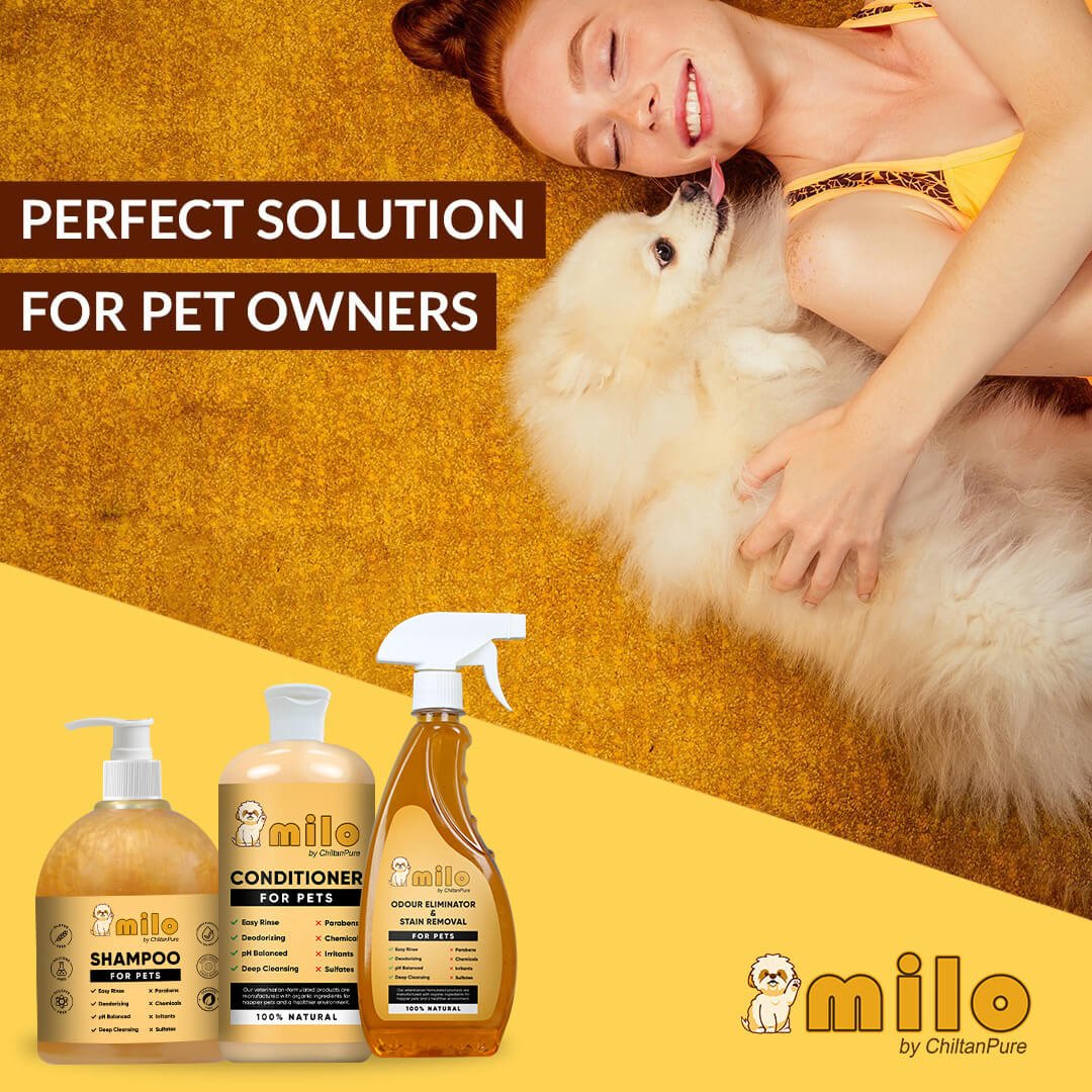 Milo Pet Care Kit – Pet Conditioner, Pet Shampoo, Pet Odour Eliminator & Stain Removal - ChiltanPure