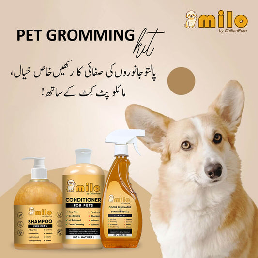 Milo Pet Care Kit – Pet Conditioner, Pet Shampoo, Pet Odour Eliminator & Stain Removal - ChiltanPure