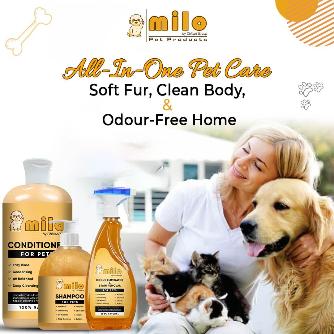 Milo Pet Conditioner – Nourishes Hair, Control Hair Fall, Prevent Itchiness, Gives Shiny Hair & Long – lasting Freshness 250ml - ChiltanPure