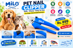 MILO Pet Nail Clipper for Dogs & Cats Price in Pakistan - ChiltanPure