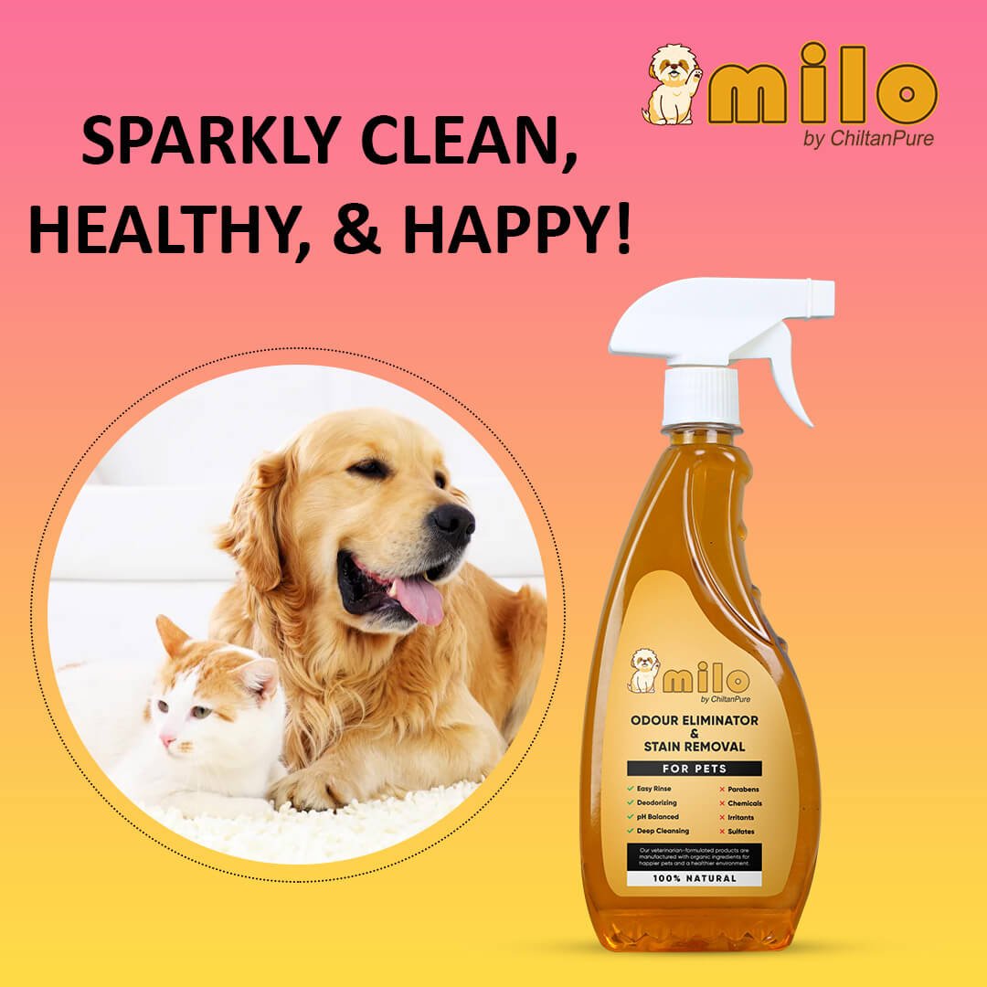 Milo Pet Odour Eliminator & Stain Removal – Natural Bio-Enzymatic Formula, Eliminate Pet’s Bad Odour & Remove Tough Stains 500ml - ChiltanPure