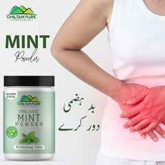 Mint Powder – Best for Smoother Digestion & Contains Anti-Inflammatory Properties - ChiltanPure