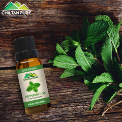 Peppermint Essential Oil - Enriched With Anti-Oxidants, Anti-Microbial &amp; Refreshing Properties [پودینہ] - ChiltanPure