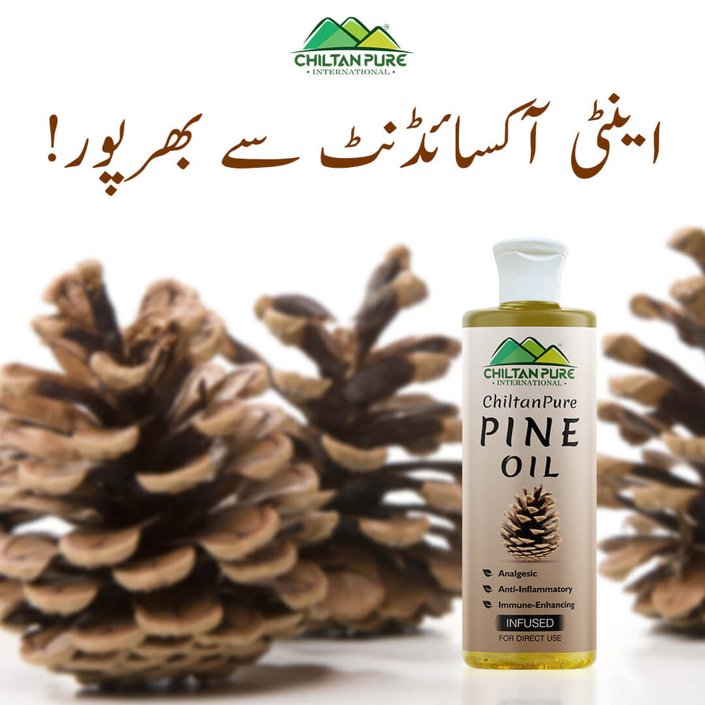 Pine Infused Oil – Decongestant, Circulation-Stimulating & Immune-Enhancing - Mamasjan