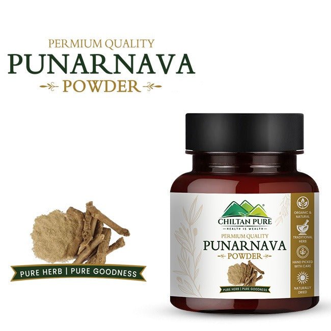 Punarnava Powder - ChiltanPure