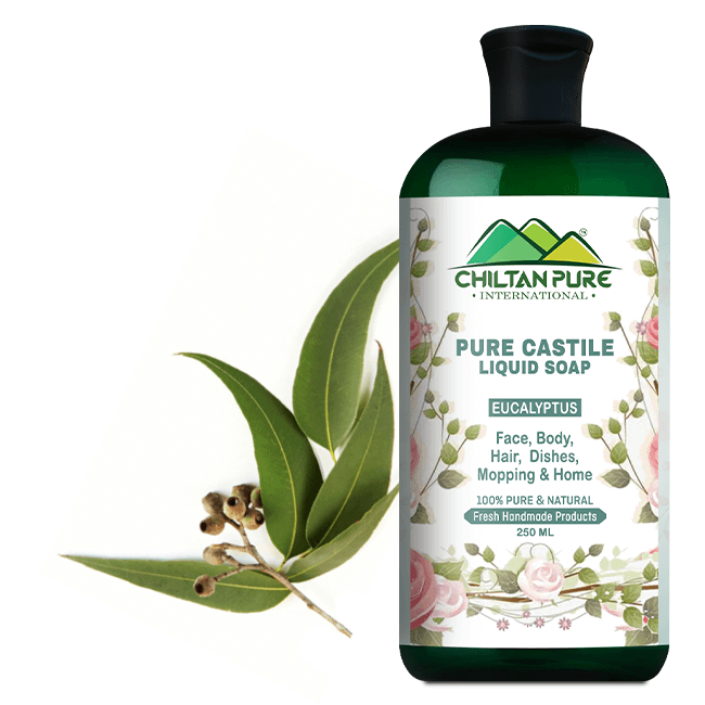 Pure Castile Liquid Soap [Eucalyptus] - ChiltanPure