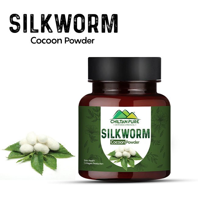 Silkworm / cocoon powder 100% Pure Organic - ChiltanPure