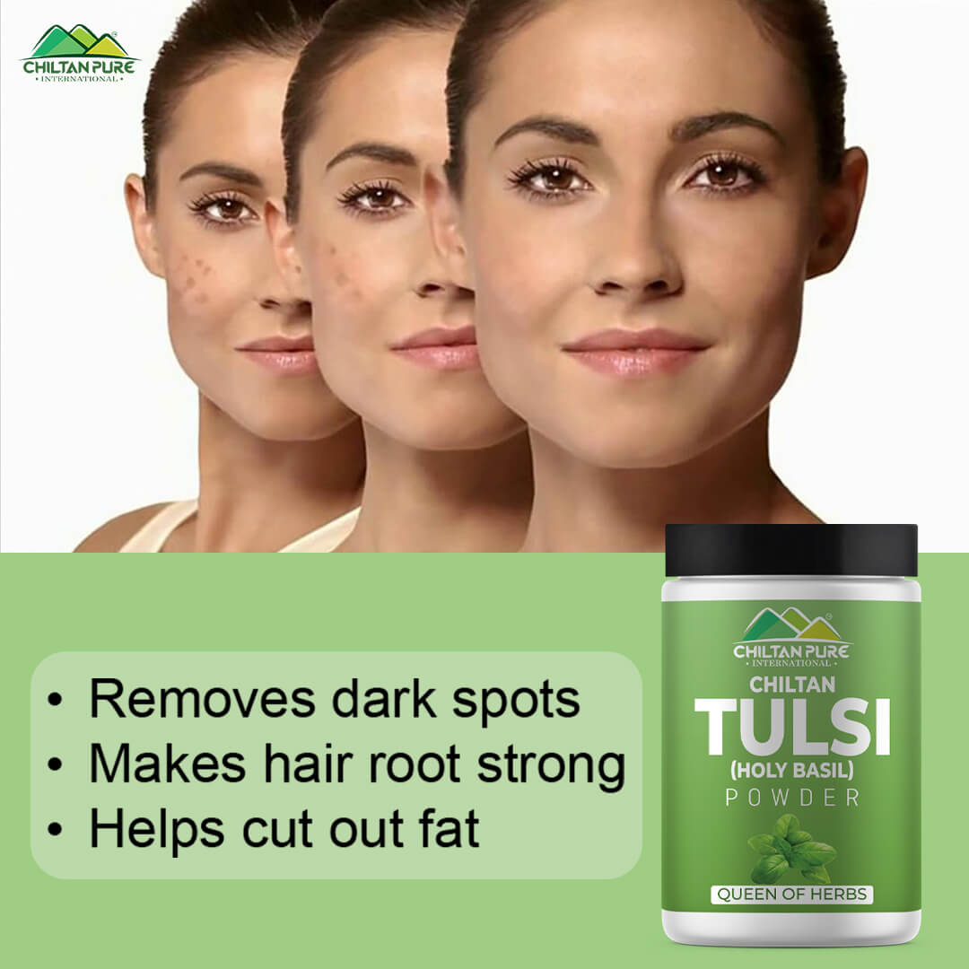 Tulsi (Holy Basil) Powder – Eat the best, rich in vitamin C, immune booster, Contains anti-bacterial & anti fungul properties – 100% pure organic - ChiltanPure