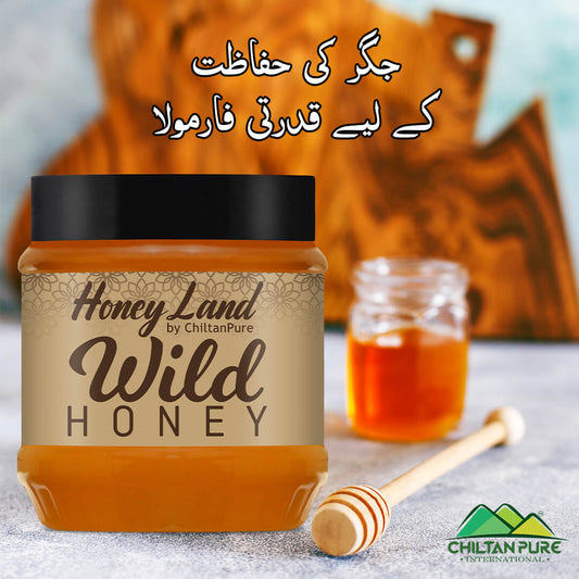 Wild Mountainous Honey - Pure &amp; Delicious (جنگلی شہد) - ChiltanPure