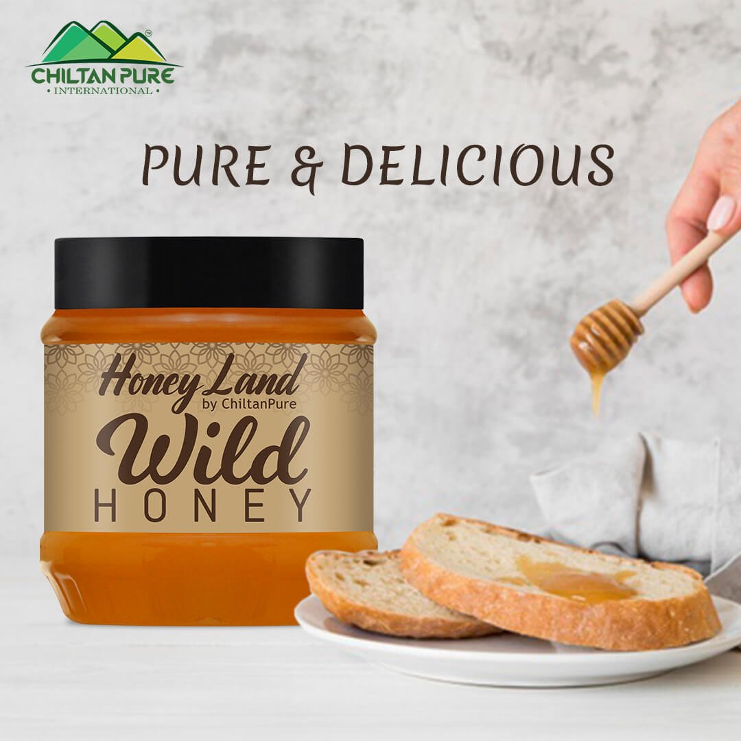 Wild Mountainous Honey - Pure &amp; Delicious (جنگلی شہد) - ChiltanPure