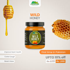 Wild Honey - Pure Honey , Real Sweetness in Every Drop (New Crystal - Clear Glass Packaging)