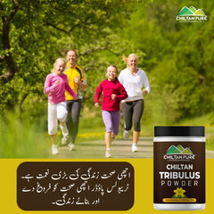 Tribulus Powder - Fight diabetes, Enhance Athletic performance - 100% pure organic - Mamasjan